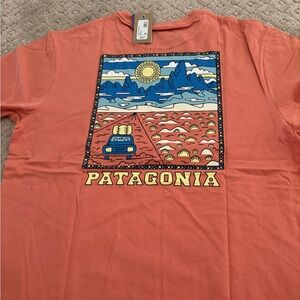 Patagonia Orange Regular Fit Tee